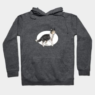 Collie Dog Hoodie